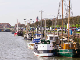 Kurzurlaub in Büsum direkt am Deich Bretterbude Büsum Büsum