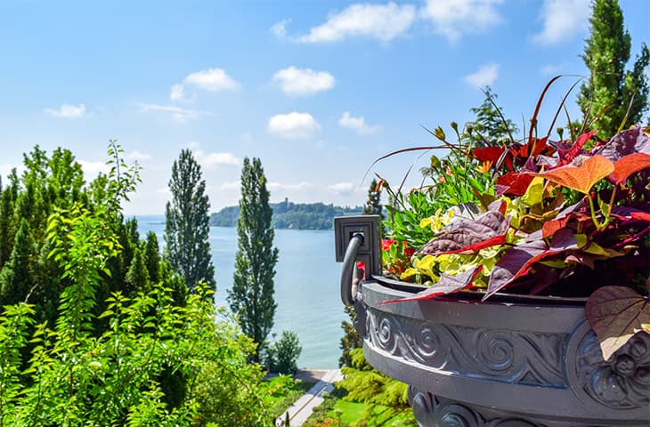 Insel Mainau Barock