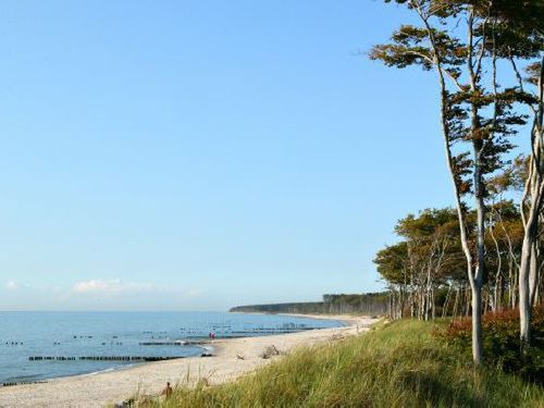 Kurzurlaub Fischland Darß - Kurzreisen Online Buchen